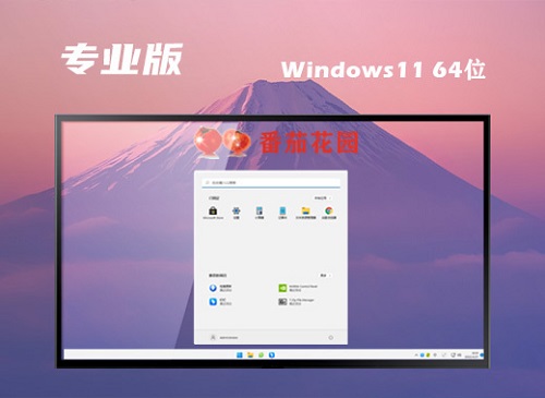 番茄花園 Ghost Win11 64位標準專業版 v2022.08